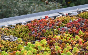 the cost of High Friarside green roof installation