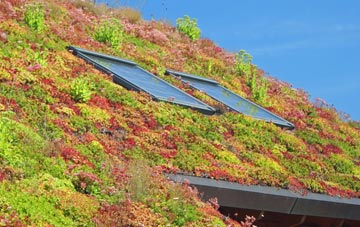 High Friarside living roof systems