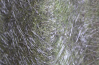 High Friarside fibreglass roof work